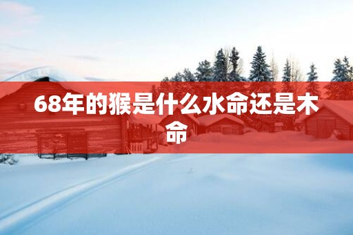 68年的猴是什么水命还是木命