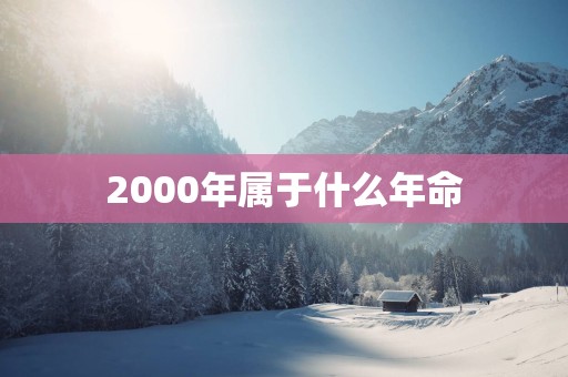 2000年属于什么年命