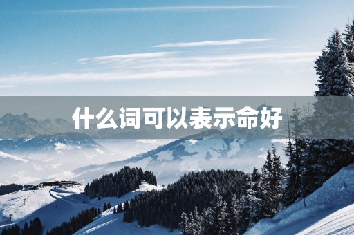 什么词可以表示命好