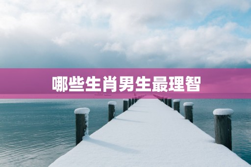 哪些生肖男生最理智