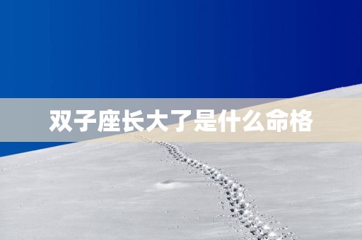 双子座长大了是什么命格