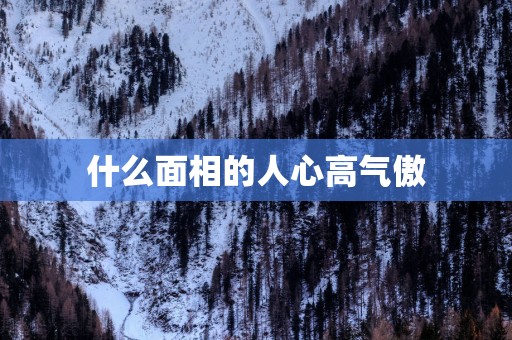 什么面相的人心高气傲 什么面相的人心高气傲