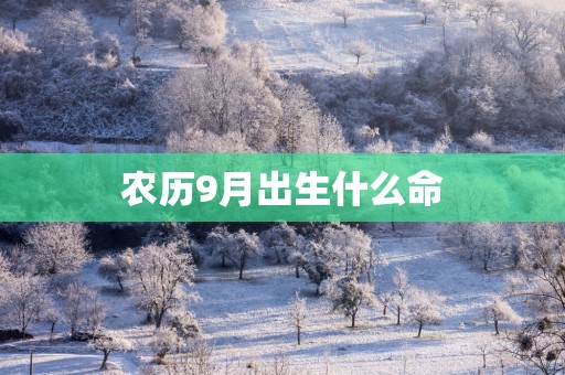 农历9月出生什么命