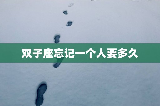 双子座忘记一个人要多久