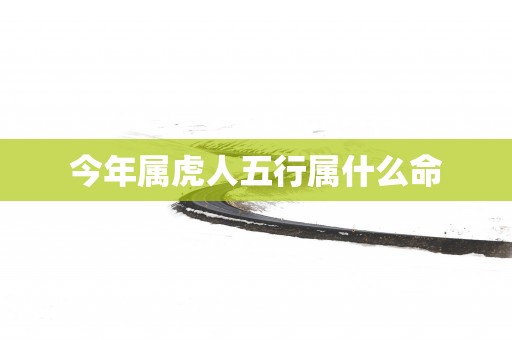 今年属虎人五行属什么命