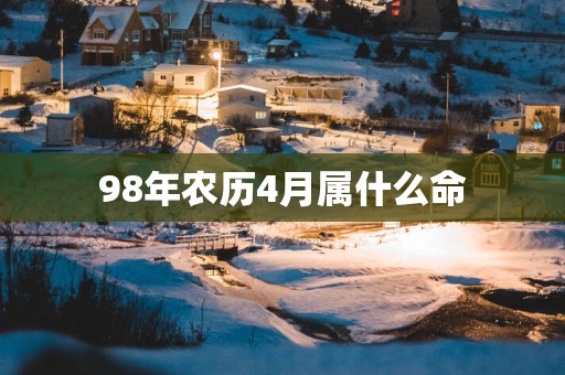 98年农历4月属什么命