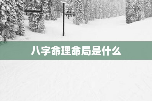 八字命理命局是什么