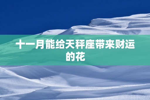 十一月能给天秤座带来财运的花