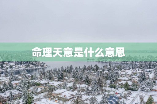 命理天意是什么意思
