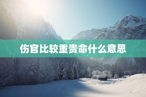 伤官比较重贵命什么意思