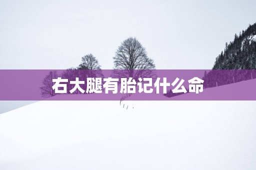 右大腿有胎记什么命