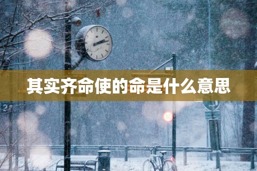 其实齐命使的命是什么意思