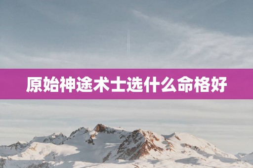 原始神途术士选什么命格好