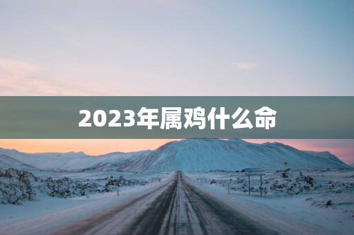 2025年属鸡什么命