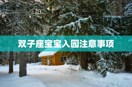 双子座宝宝入园注意事项