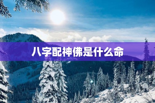 八字配神佛是什么命