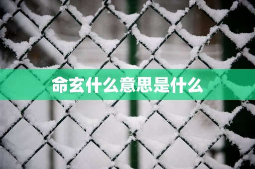 命玄什么意思是什么
