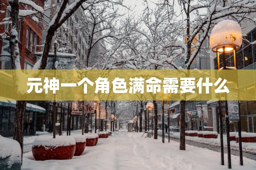 元神一个角色满命需要什么