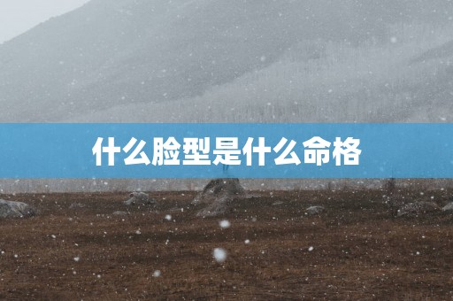 什么脸型是什么命格