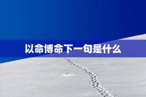 以命博命下一句是什么