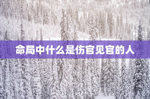 命局中什么是伤官见官的人