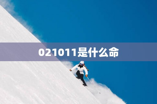 021011是什么命