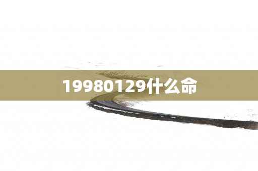 19980129什么命