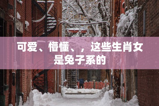可爱、懵懂、，这些生肖女是兔子系的