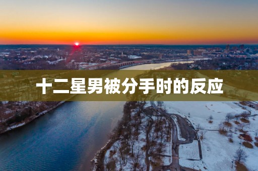 十二星男被分手时的反应