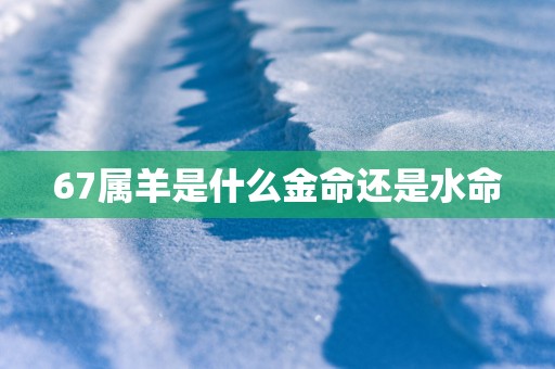 67属羊是什么金命还是水命