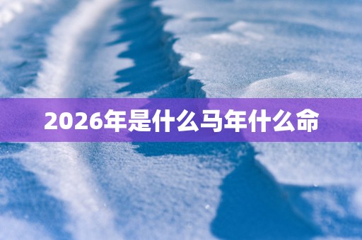 2026年是什么马年什么命