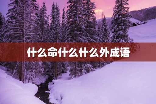 什么命什么什么外成语