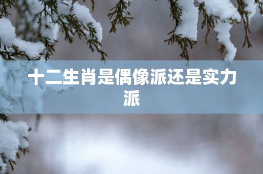 十二生肖是偶像派还是实力派