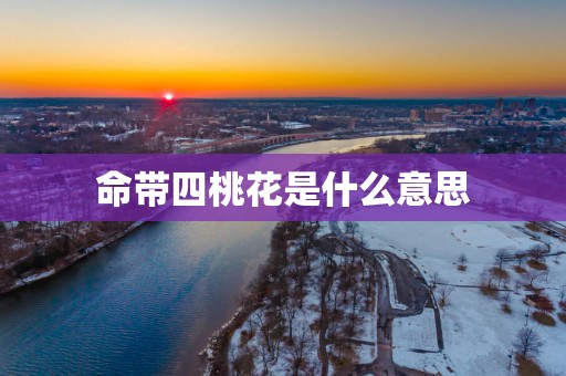 命带四桃花是什么意思