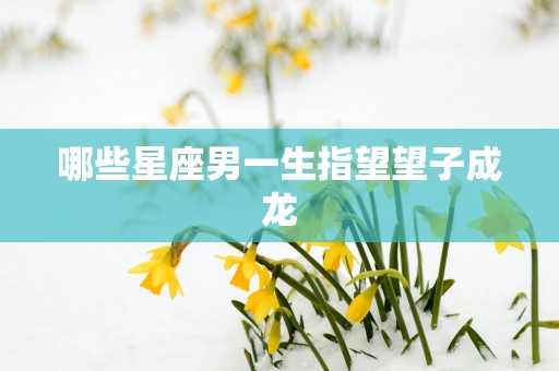 哪些星座男一生指望望子成龙