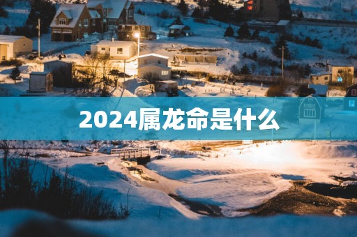 2025属龙命是什么