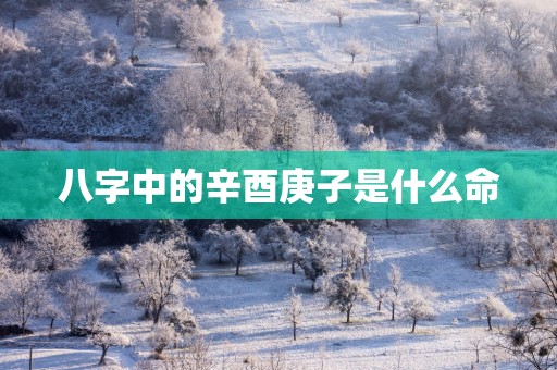 八字中的辛酉庚子是什么命