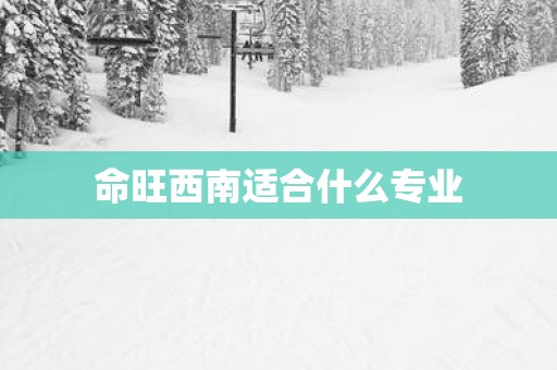 命旺西南适合什么专业