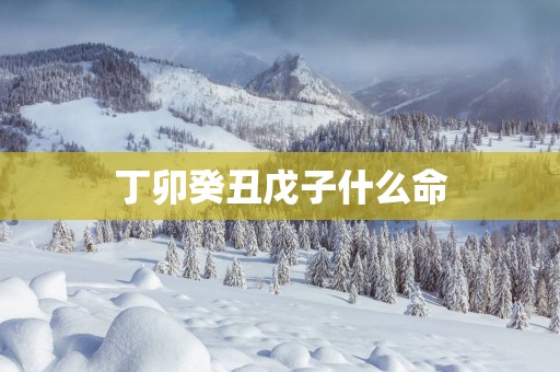 丁卯癸丑戊子什么命