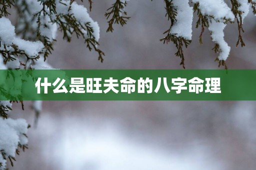 什么是旺夫命的八字命理