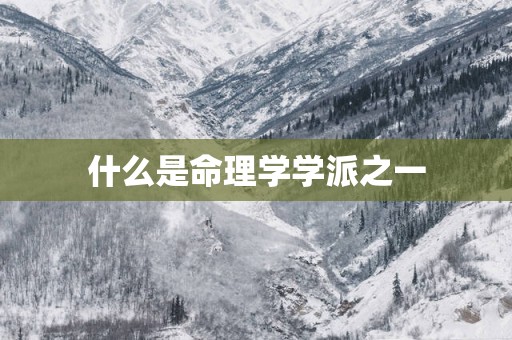 什么是命理学学派之一