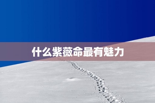 什么紫薇命最有魅力