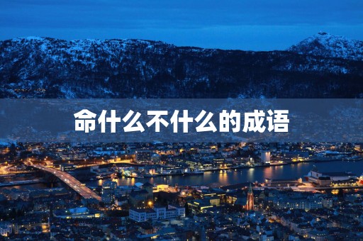 命什么不什么的成语