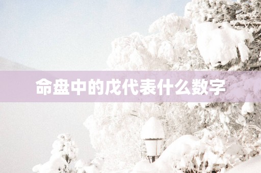命盘中的戊代表什么数字