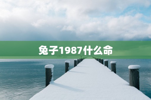兔子1987什么命
