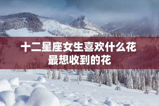 十二星座女生喜欢什么花 最想收到的花