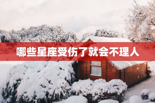 哪些星座受伤了就会不理人