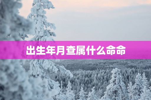 出生年月查属什么命命