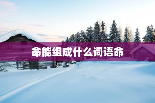 命能组成什么词语命