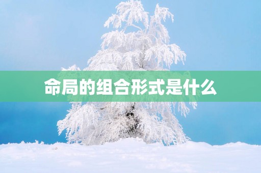 命局的组合形式是什么